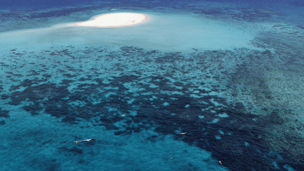Top 10 Best Dive Sites in Queensland - Sunreef